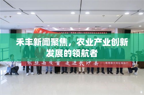 禾丰新闻聚焦，农业产业创新发展的领航者