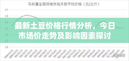 最新土豆价格行情分析，今日市场价走势及影响因素探讨