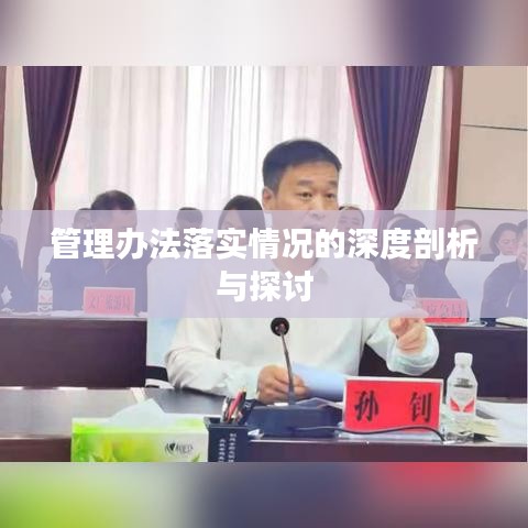 管理办法落实情况的深度剖析与探讨