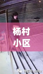 杨村小区惊现偷盗事件，现场视频曝光，细节揭秘！