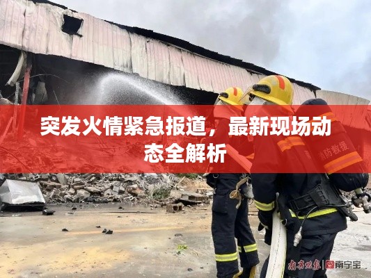 突发火情紧急报道，最新现场动态全解析