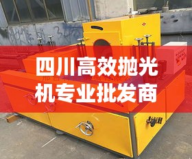四川高效抛光机专业批发商，行业前沿引领新潮流供应