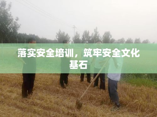 落实安全培训，筑牢安全文化基石