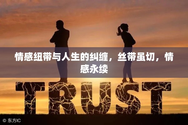 情感纽带与人生的纠缠，丝带虽切，情感永续