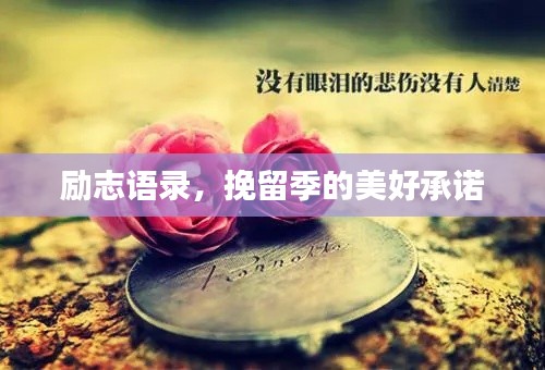 励志语录，挽留季的美好承诺