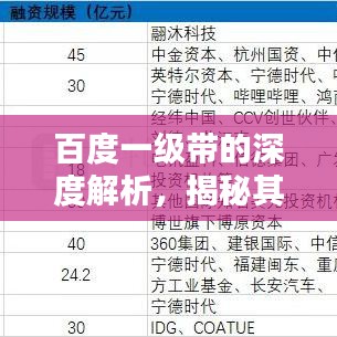 百度一级带的深度解析，揭秘其独特魅力与优势