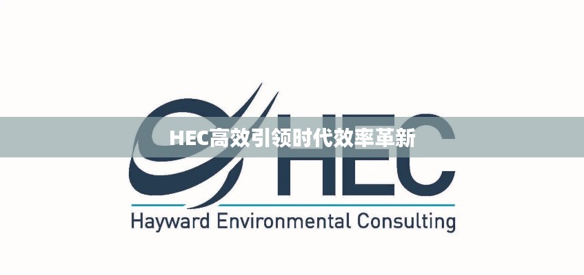 HEC高效引领时代效率革新