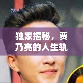独家揭秘，贾乃亮的人生轨迹与心路历程深度音频分享