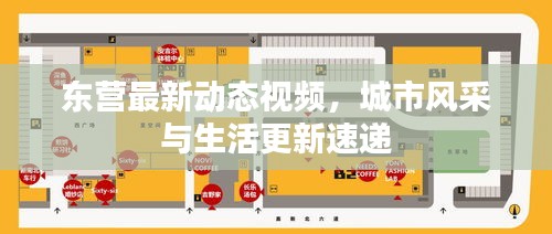 东营最新动态视频，城市风采与生活更新速递