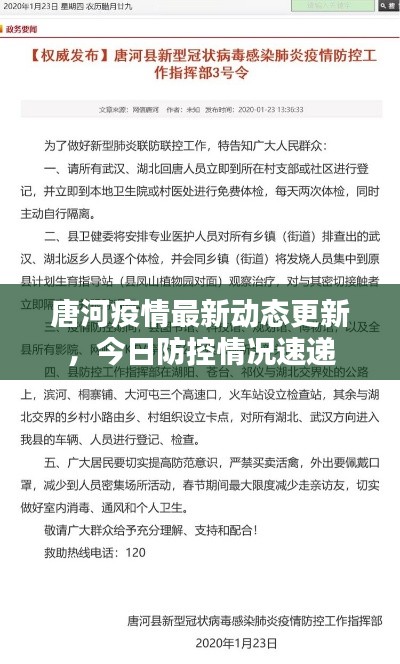 唐河疫情最新动态更新，今日防控情况速递