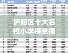 庐阳区十大名校小学榜单揭晓，教育之光引领未来成长之路