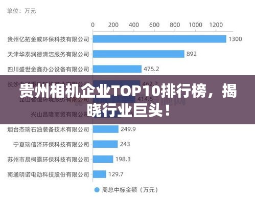 贵州相机企业TOP10排行榜，揭晓行业巨头！
