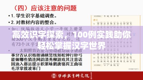 高效识字探索，100例实践助你轻松掌握汉字世界