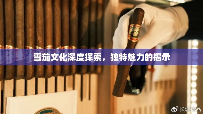 雪茄文化深度探索，独特魅力的揭示