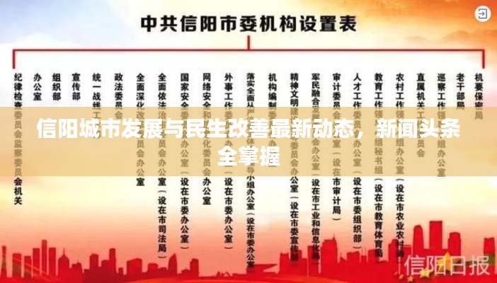 信阳城市发展与民生改善最新动态，新闻头条全掌握