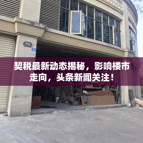 契税最新动态揭秘，影响楼市走向，头条新闻关注！