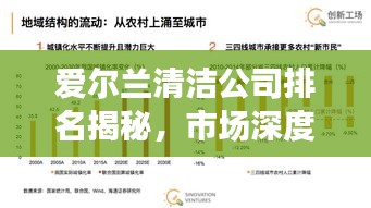 爱尔兰清洁公司排名揭秘，市场深度分析！
