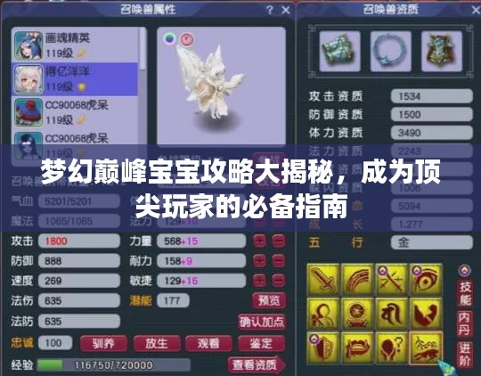梦幻巅峰宝宝攻略大揭秘，成为顶尖玩家的必备指南