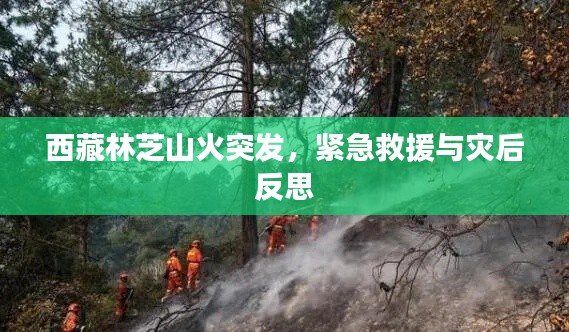 西藏林芝山火突发，紧急救援与灾后反思