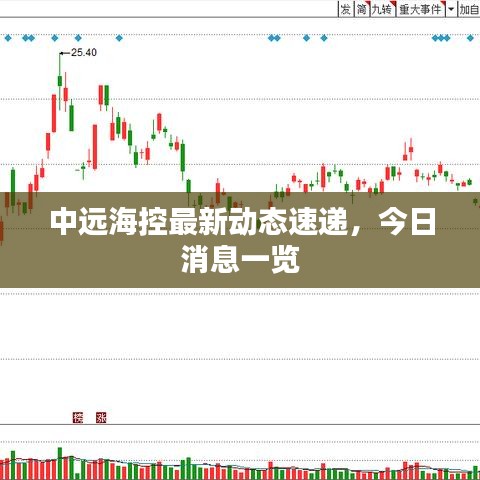 中远海控最新动态速递，今日消息一览