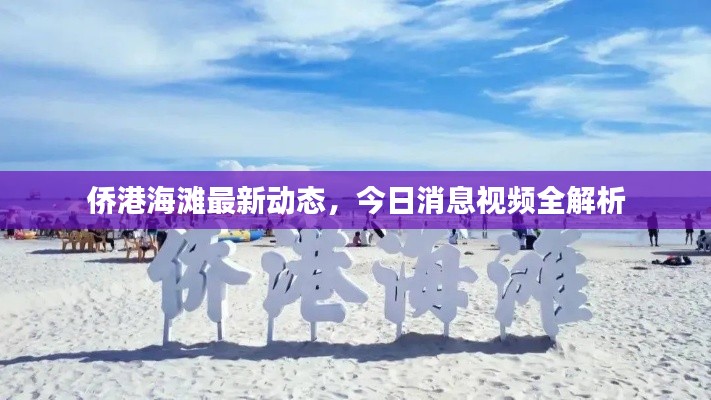 侨港海滩最新动态，今日消息视频全解析