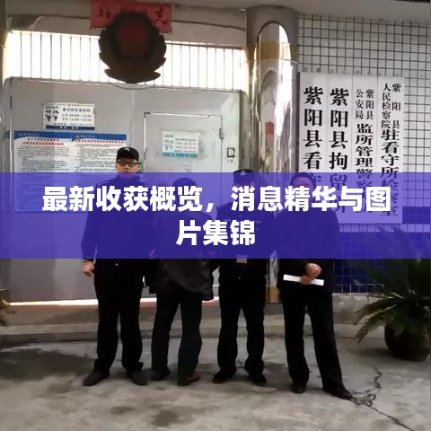 最新收获概览，消息精华与图片集锦