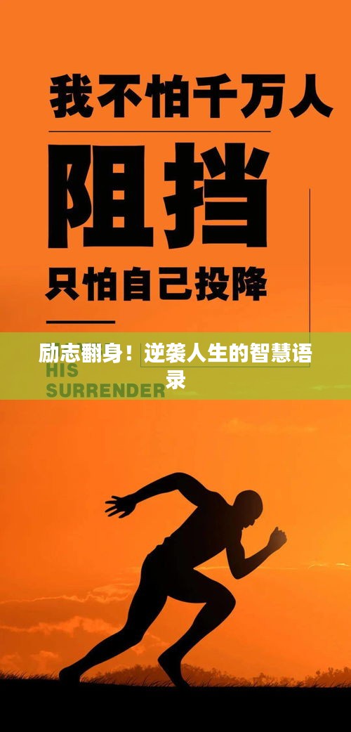 南辕北辙