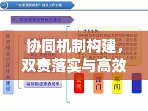 协同机制构建，双责落实与高效协同的探索与实践