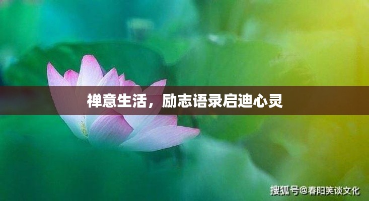 禅意生活，励志语录启迪心灵