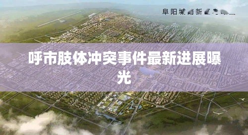 呼市肢体冲突事件最新进展曝光