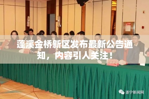 蓬溪金桥新区发布最新公告通知，内容引人关注！