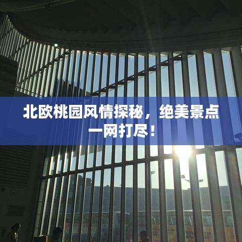 2025年4月 第11页