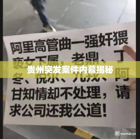 2025年4月 第6页