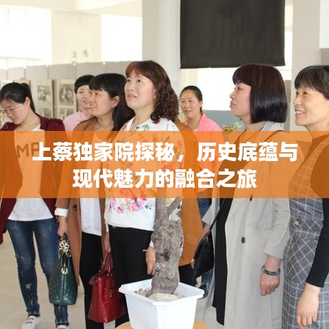 上蔡独家院探秘，历史底蕴与现代魅力的融合之旅