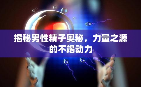 2025年5月2日 第3页
