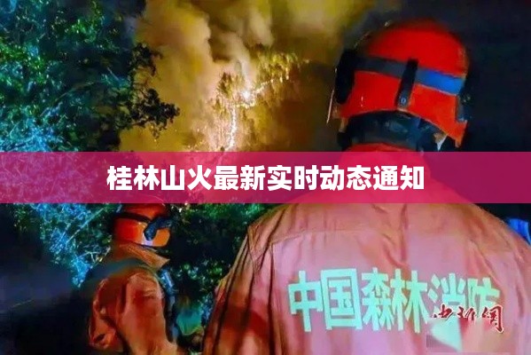 2025年5月3日
