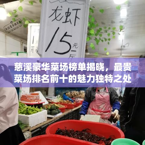 2025年5月13日