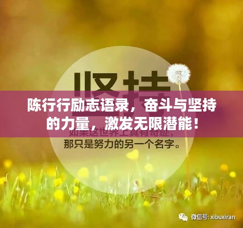 2025年5月14日 第2页