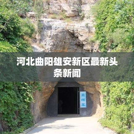云龙井蛙