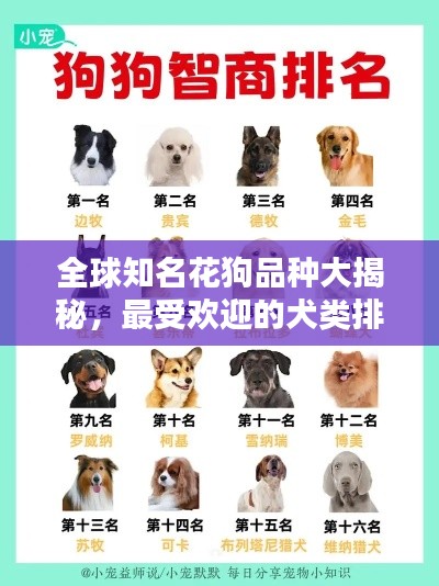 联系我们 第10页