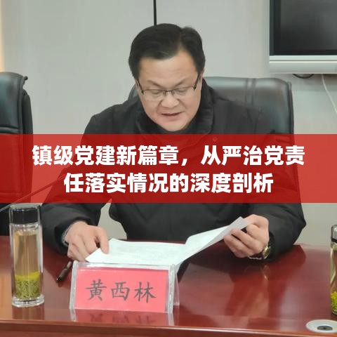 镇级党建新篇章，从严治党责任落实情况的深度剖析
