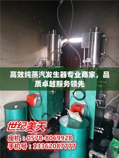 高效纯蒸汽发生器专业商家，品质卓越服务领先
