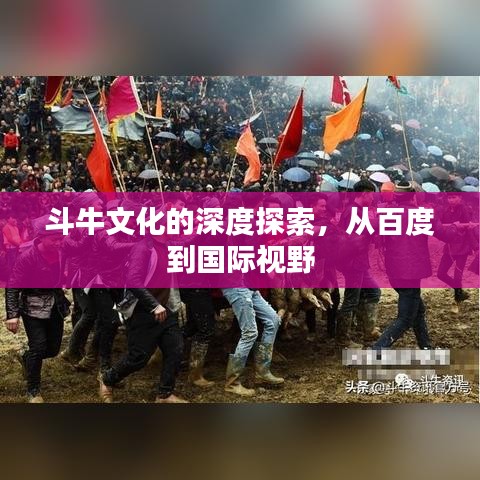 斗牛文化的深度探索，从百度到国际视野