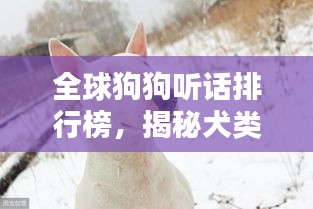 国色天香