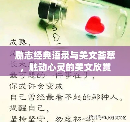 朴素无华