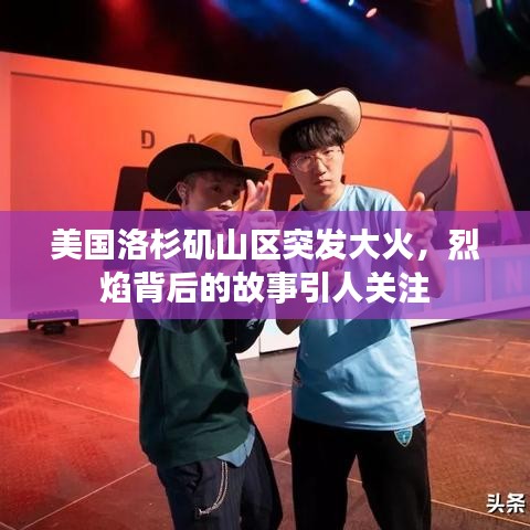 美国洛杉矶山区突发大火，烈焰背后的故事引人关注