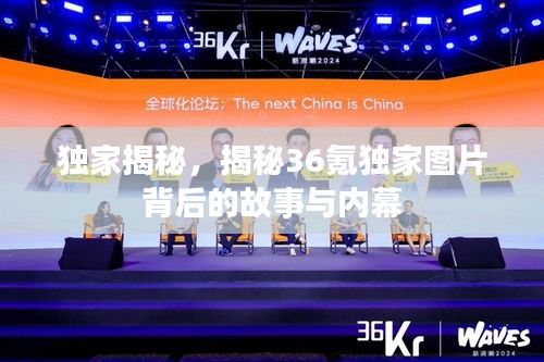 独家揭秘，揭秘36氪独家图片背后的故事与内幕