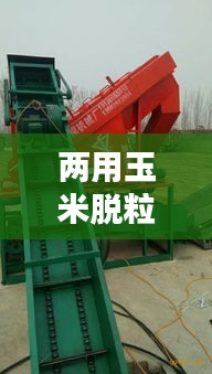 两用玉米脱粒机公司权威排名揭晓！