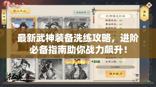 最新武神装备洗练攻略，进阶必备指南助你战力飙升！
