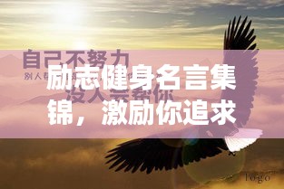 励志健身名言集锦，激励你追求健康与力量的箴言